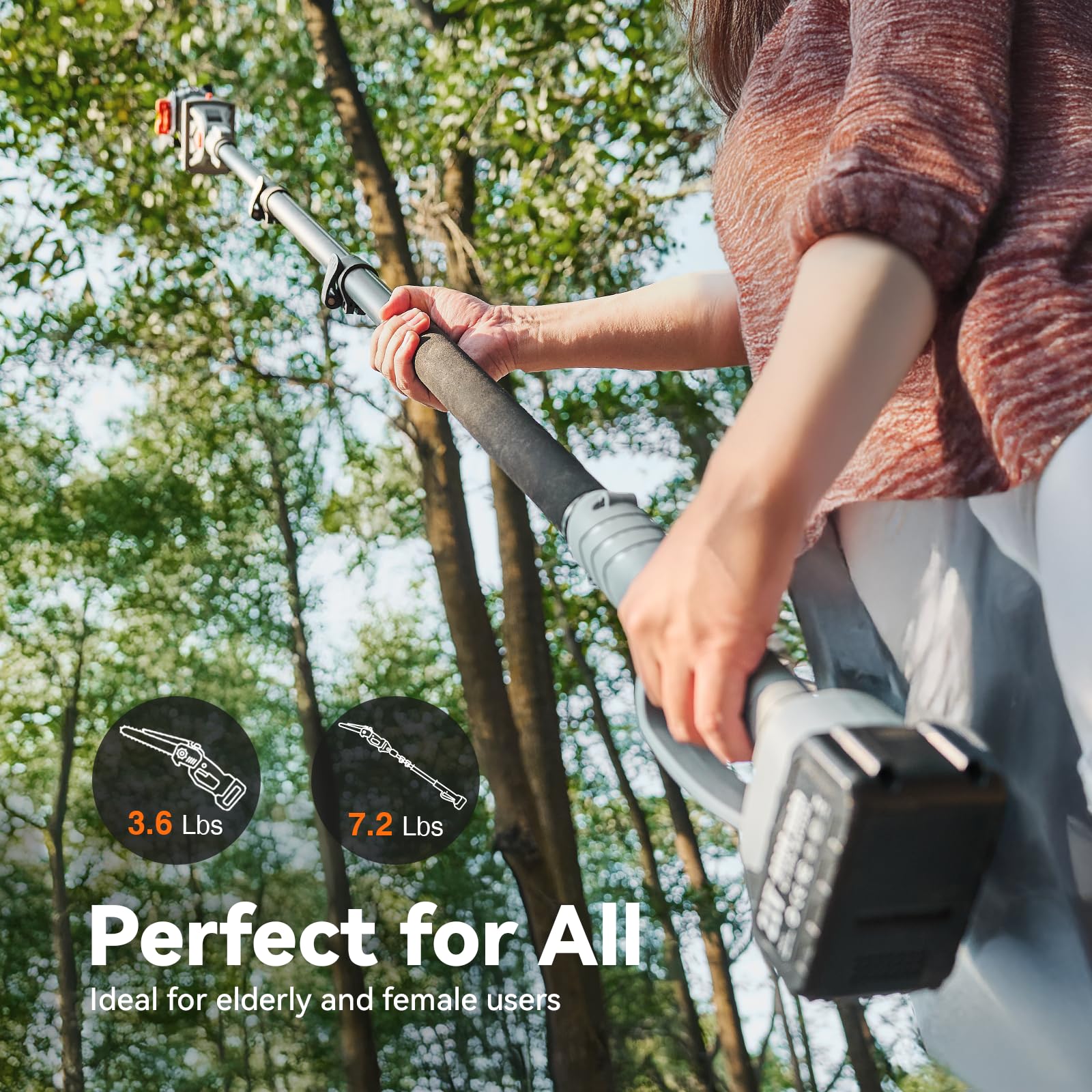 TaskStar 8 inç Uzatılabilir Bu - Pole Saw Cordless incelemesi ve fiyatı